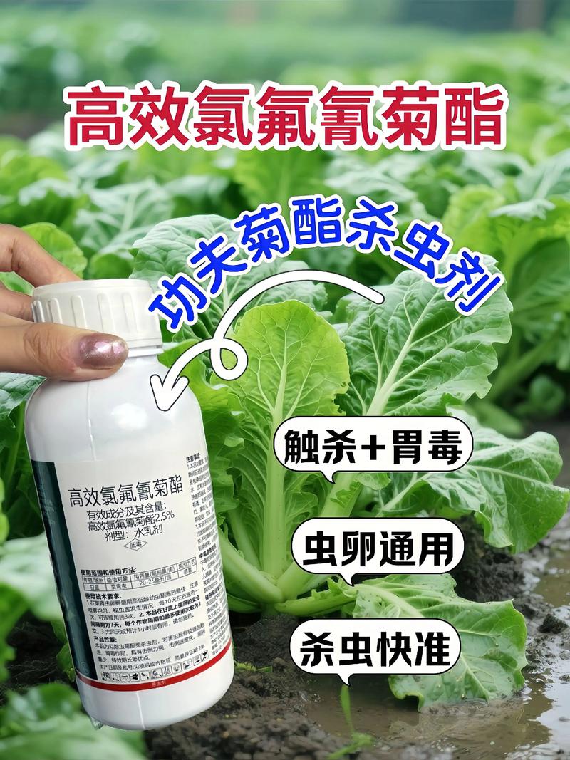 天门代生中心:农药对供卵代生妈妈的危害